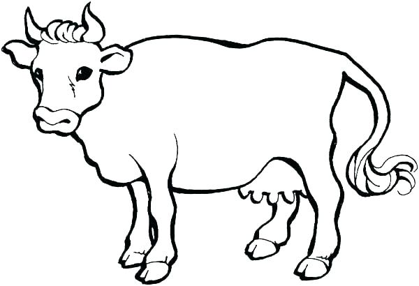 600x410 Cow Coloring Page Cow Coloring Pages Cow Color Page X Pixels