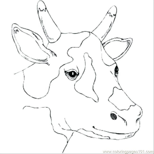 650x650 Cow Coloring Pages Picture Of Milch Cow Coloring Page Coloring