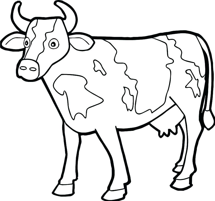 878x822 Coloring Cows Coloring Pages Realistic Cow Dairy Cows Coloring Pages