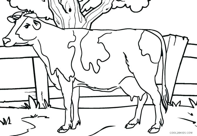 Realistic Cow Coloring Pages at GetDrawings | Free download
