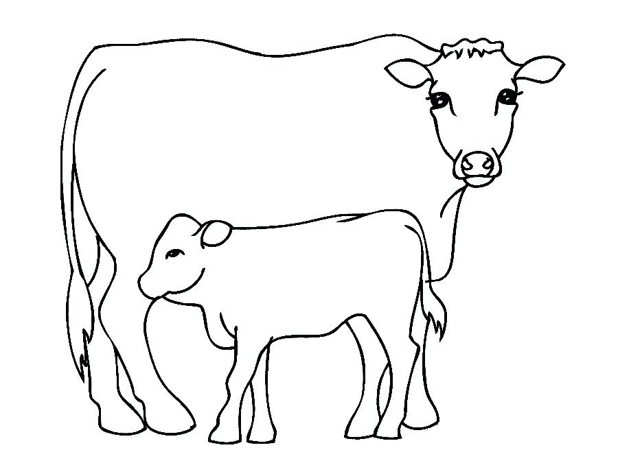 900x675 How To Draw A Realistic Cow