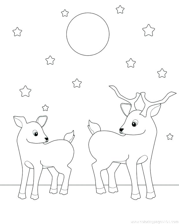 618x773 Whitetail Deer Coloring Pages