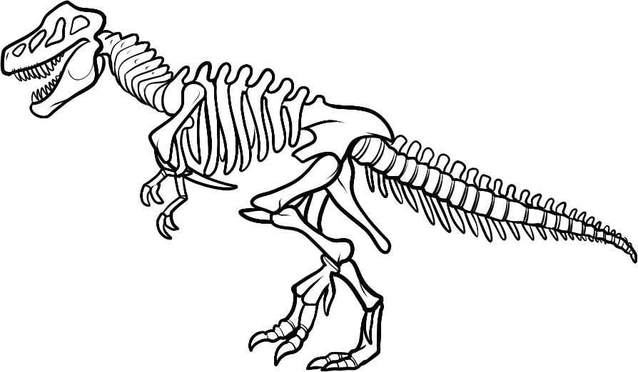 894x522 Dinasaur Coloring Pages Realistic Dinosaur Bones Coloring Pages
