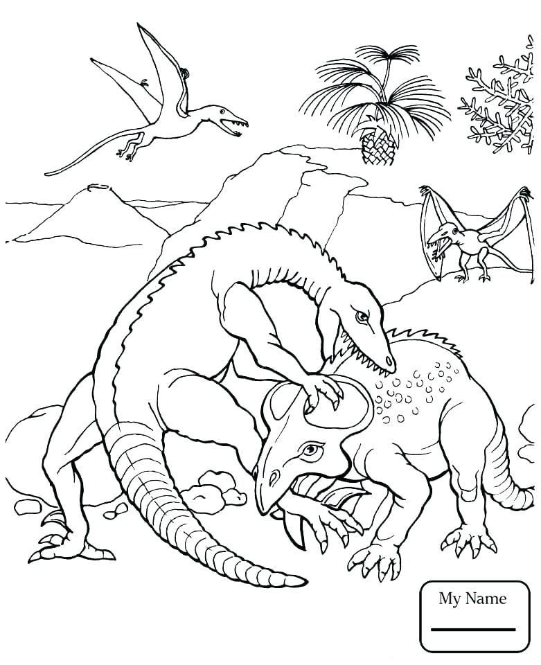 781x960 Dinosaur Coloring Sheets