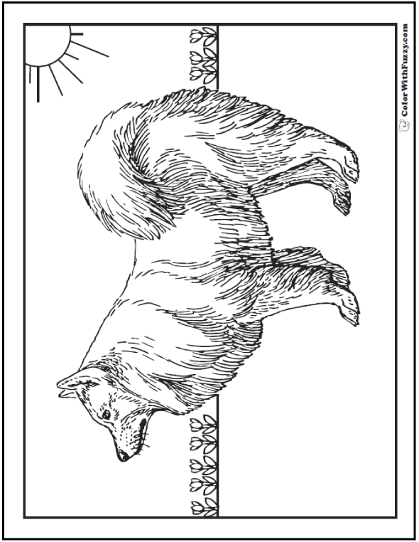 Realistic Dog Coloring Pages