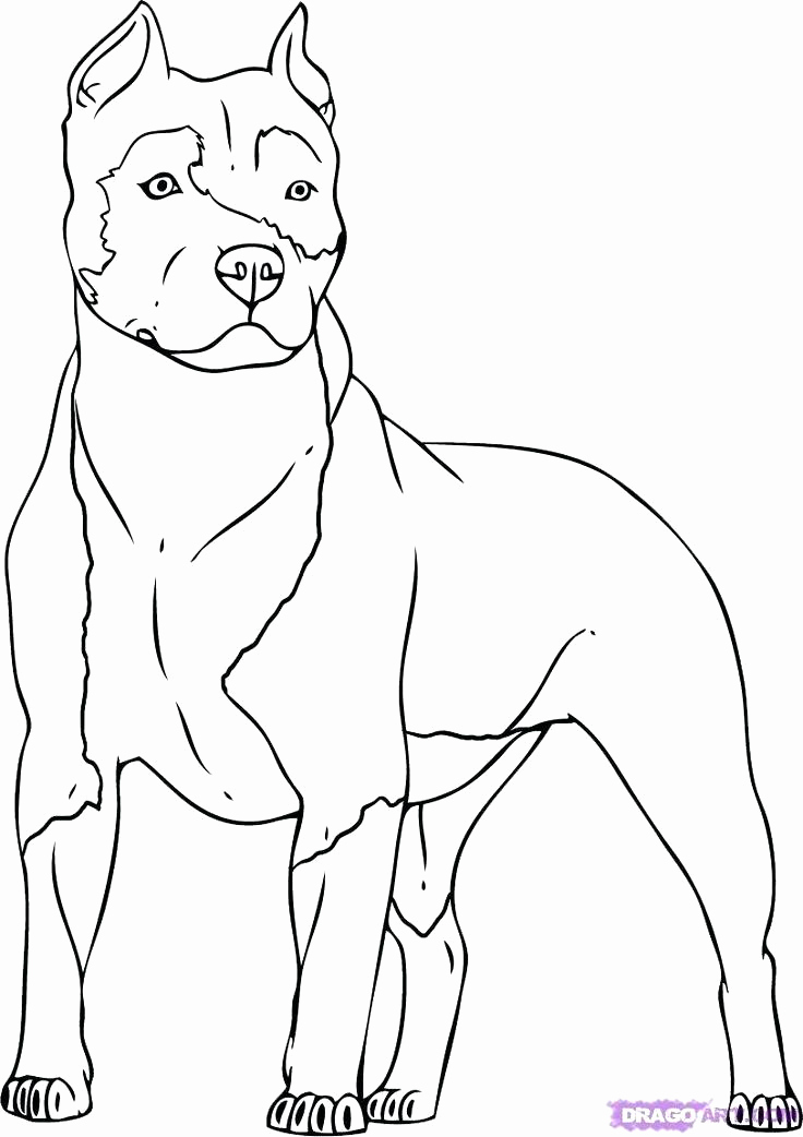 736x1042 Dog Coloring Pages Printable Dog Color Page Dog Coloring Pages