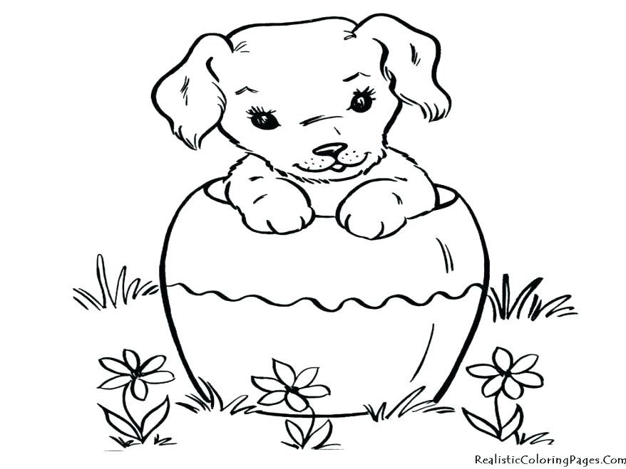 878x659 Dogs Coloring Pages Border Collie Coloring Pages Amazing Realistic