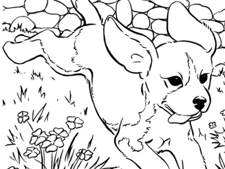 440x330 Free Dog Coloring Pages, Coloring Pages Printable Pictures