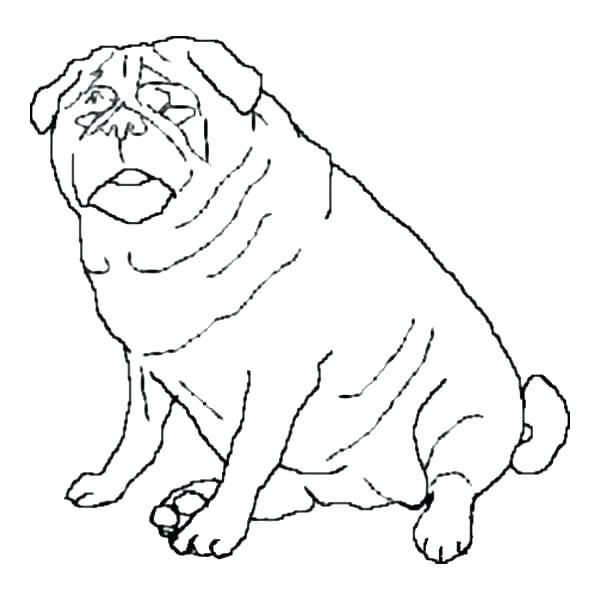 600x600 Realistic Dog Coloring Sheets Animal Pages Packed With Printable