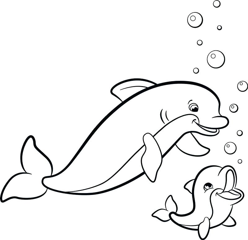 800x772 Dolphin Coloring Pages Mermaid And Dolphin Coloring Page Dolphin