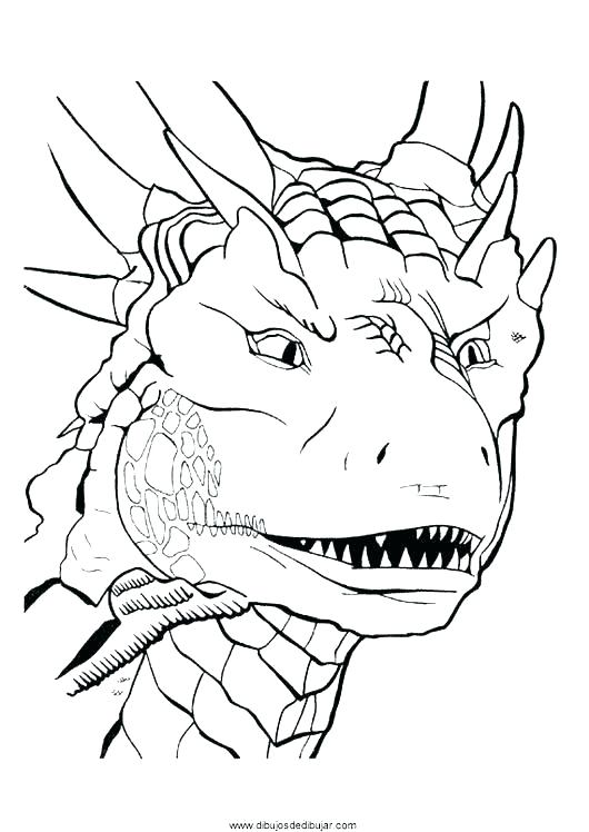 530x748 Dragon Head Coloring Page Realistic Dragon Coloring Pages