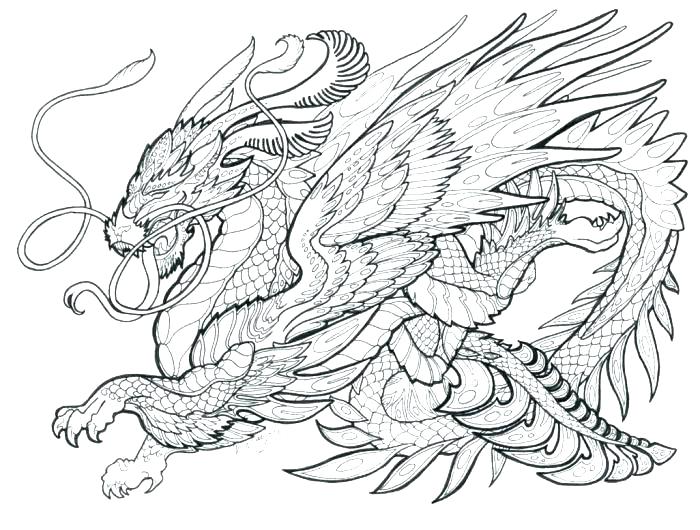 700x530 Free Printable Realistic Dragon Coloring Pages Fairy For Adults