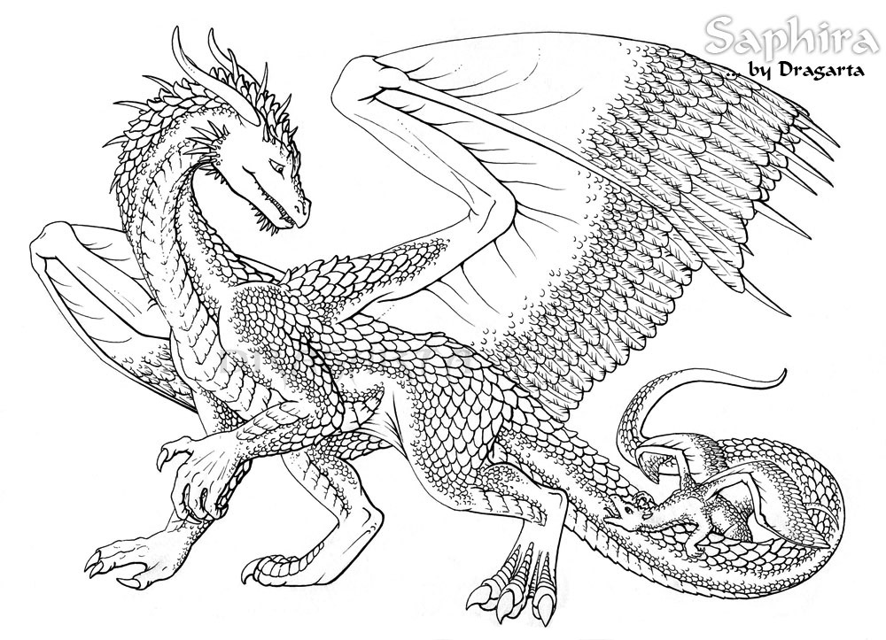 1000x723 Dragon Coloring Pages For Adults To Download And Print Free