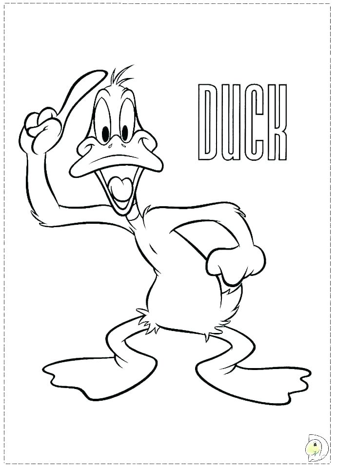 691x960 Mallard Duck Coloring Page Coloring Page Duck Rubber Duck Coloring