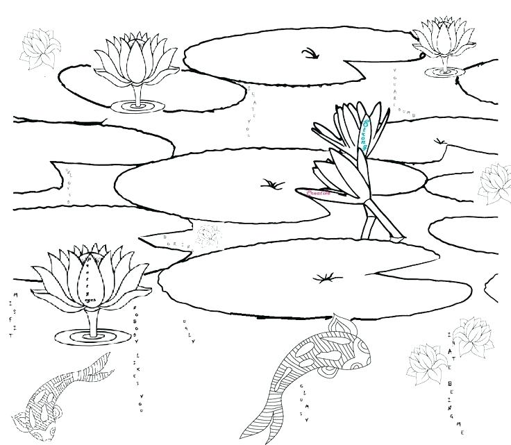 736x641 Pond Coloring Page Pond Coloring Page Realistic Giant Land Turtle