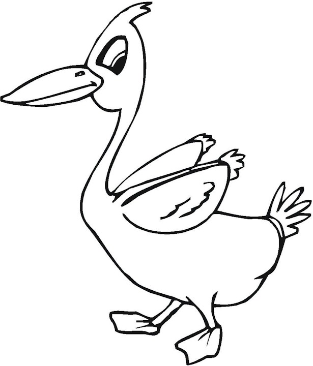 615x720 Realistic Baby Duck Coloring Pages