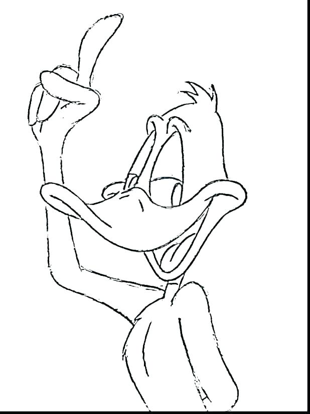 618x824 Mallard Coloring Page