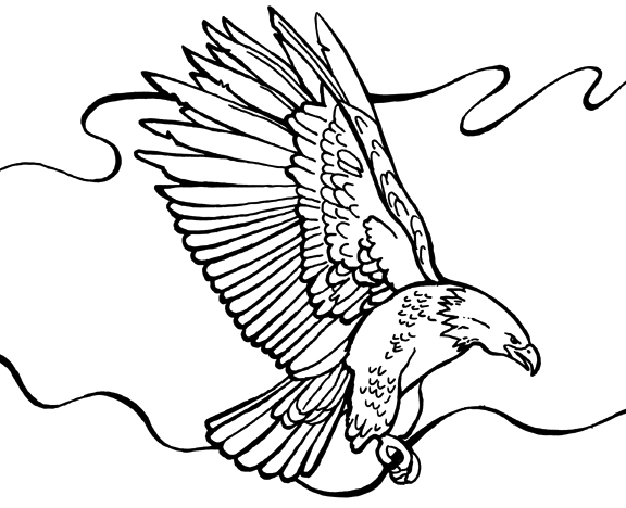 576x468 Bald Eagle Coloring Pages Free Coloringstar Eagle Coloring Pages