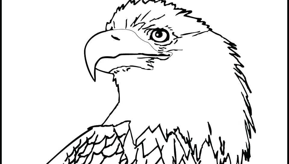 960x544 Bald Eagle Coloring Page
