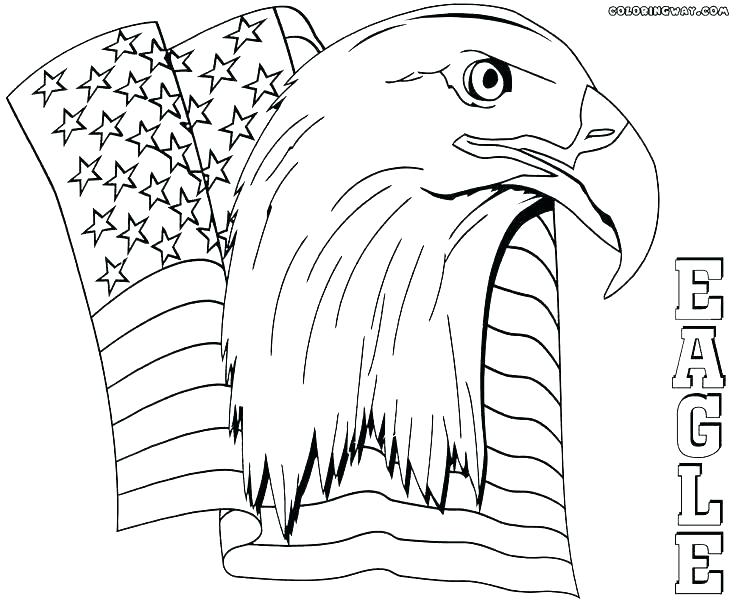 736x604 Bald Eagle Coloring Page
