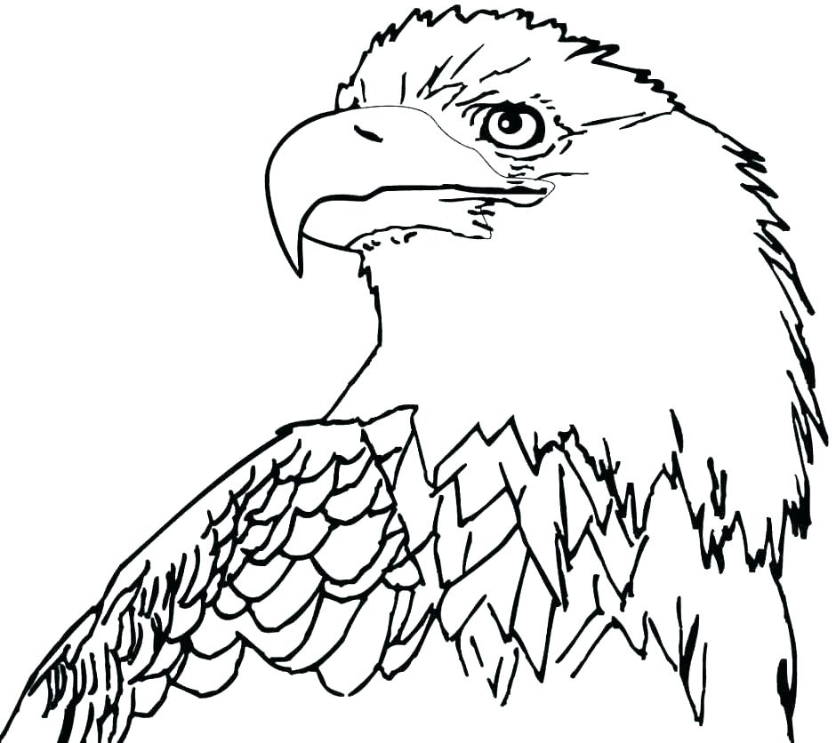 940x836 Bald Eagle Coloring Page Eagles Coloring Pages Bald Eagle Coloring
