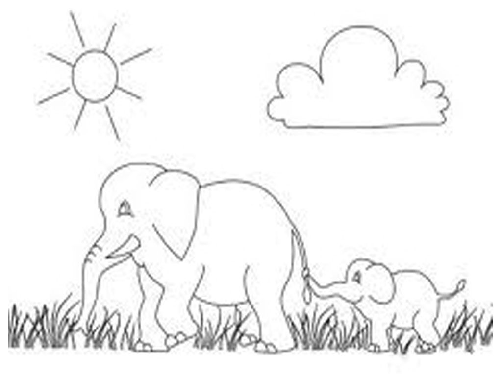 1024x768 Wild African Elephant Printable Coloring Pages Realistic