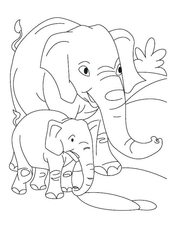 612x792 Coloring Pages Animals Realistic Coloring Pages Animals Realistic