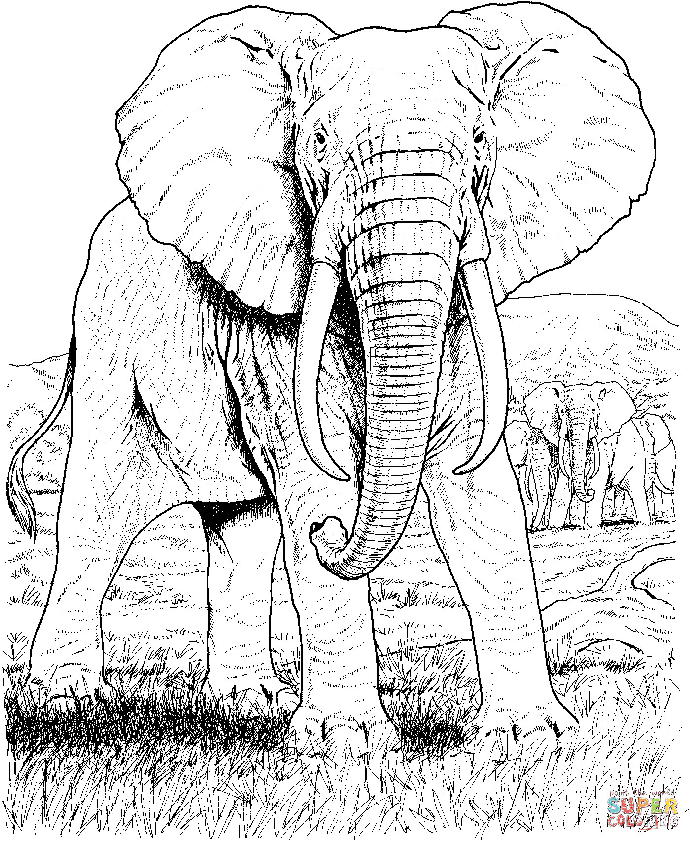 1400x1707 Coloring Pages Elephant New Elephants Coloring Pages
