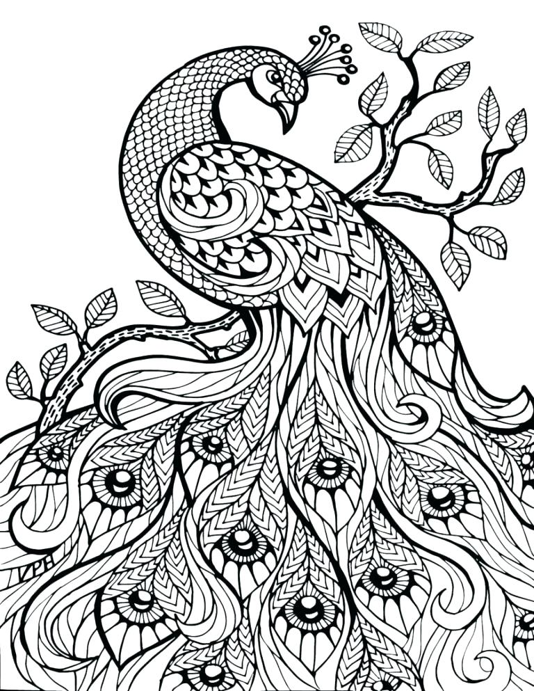 768x993 Realistic Fairy Coloring Pages Fairies Coloring Pages Fairies