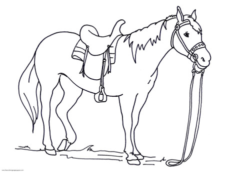 460x345 Farm Coloring Pages Realistic Farm Animal Coloring Pages Kids