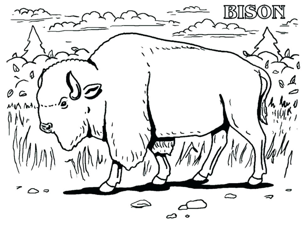 970x728 Real Animal Coloring Pages Real Animal Coloring Pages Me Realistic