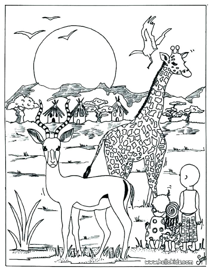 700x900 Realistic Animal Coloring Pages Coloring Pages Animals Realistic