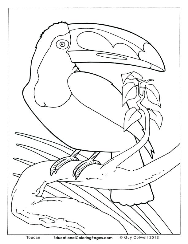 612x792 Animals Coloring Pages Coloring Kids Animals Coloring Pages Baby
