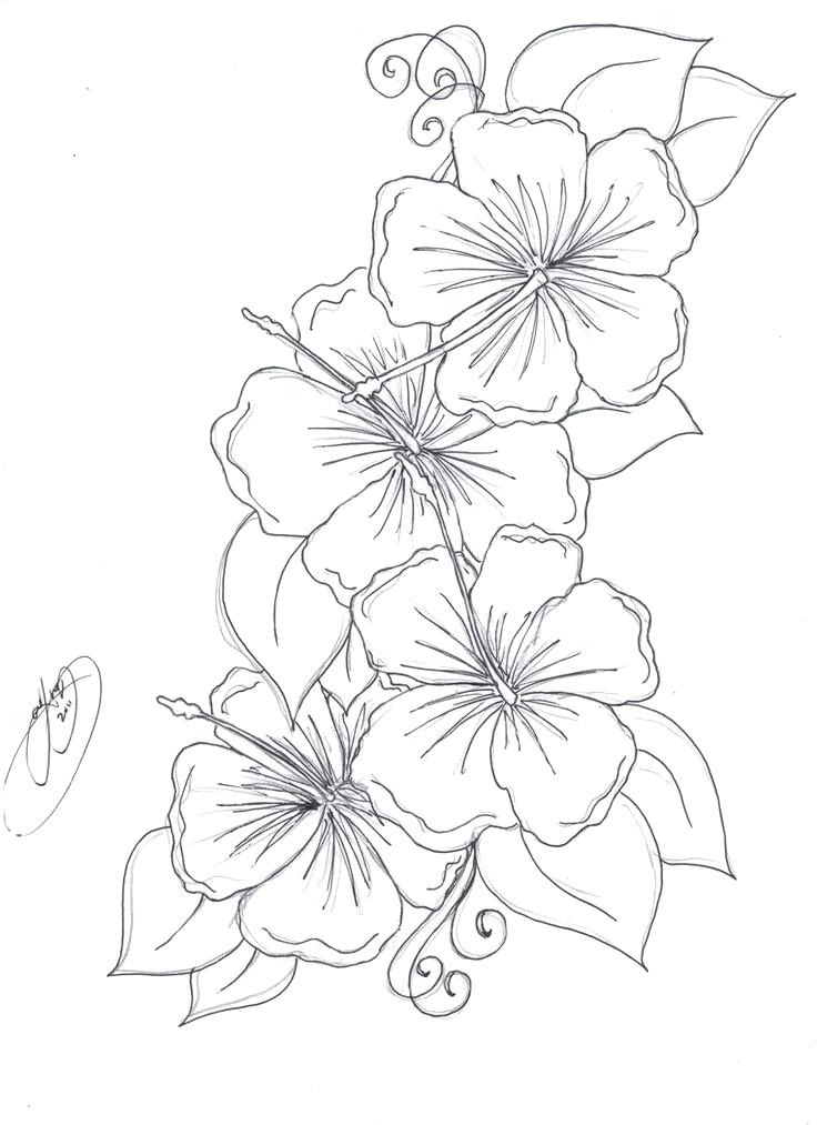 736x1013 Realistic Flower Colo Beautiful Realistic Flower Coloring Pages