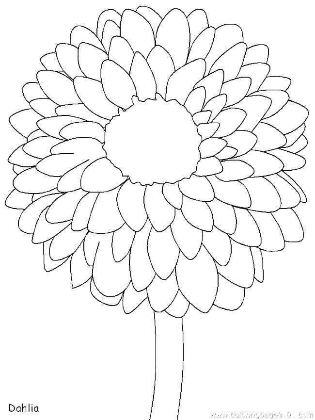 650x866 Free Printable Flower Coloring Pages For Adults