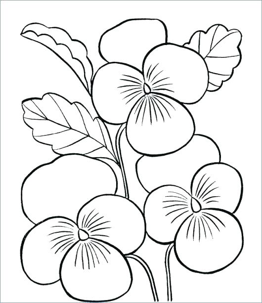 530x613 Flower Coloring Pages Printable Free Coloring Pages Flowers
