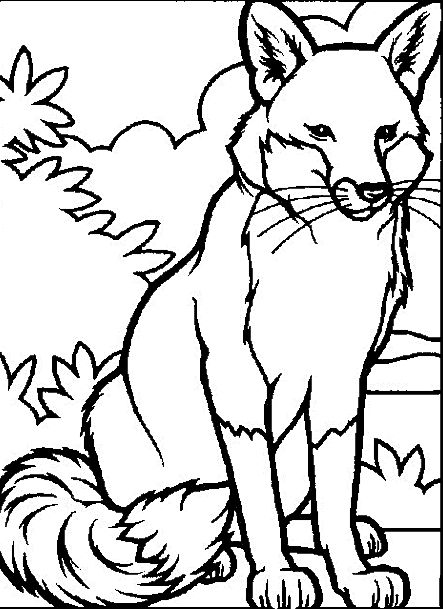 443x609 Animal Coloring Pages