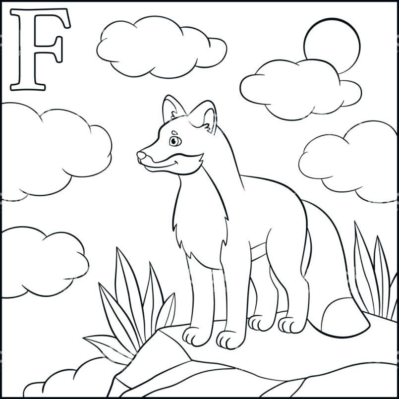 805x805 Realistic Fox Coloring Pages Plus For Teenage Girl With Cute Col