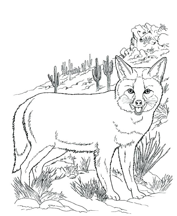 600x731 Animal Habitat Coloring Pages Realistic Coloring Pages Packed