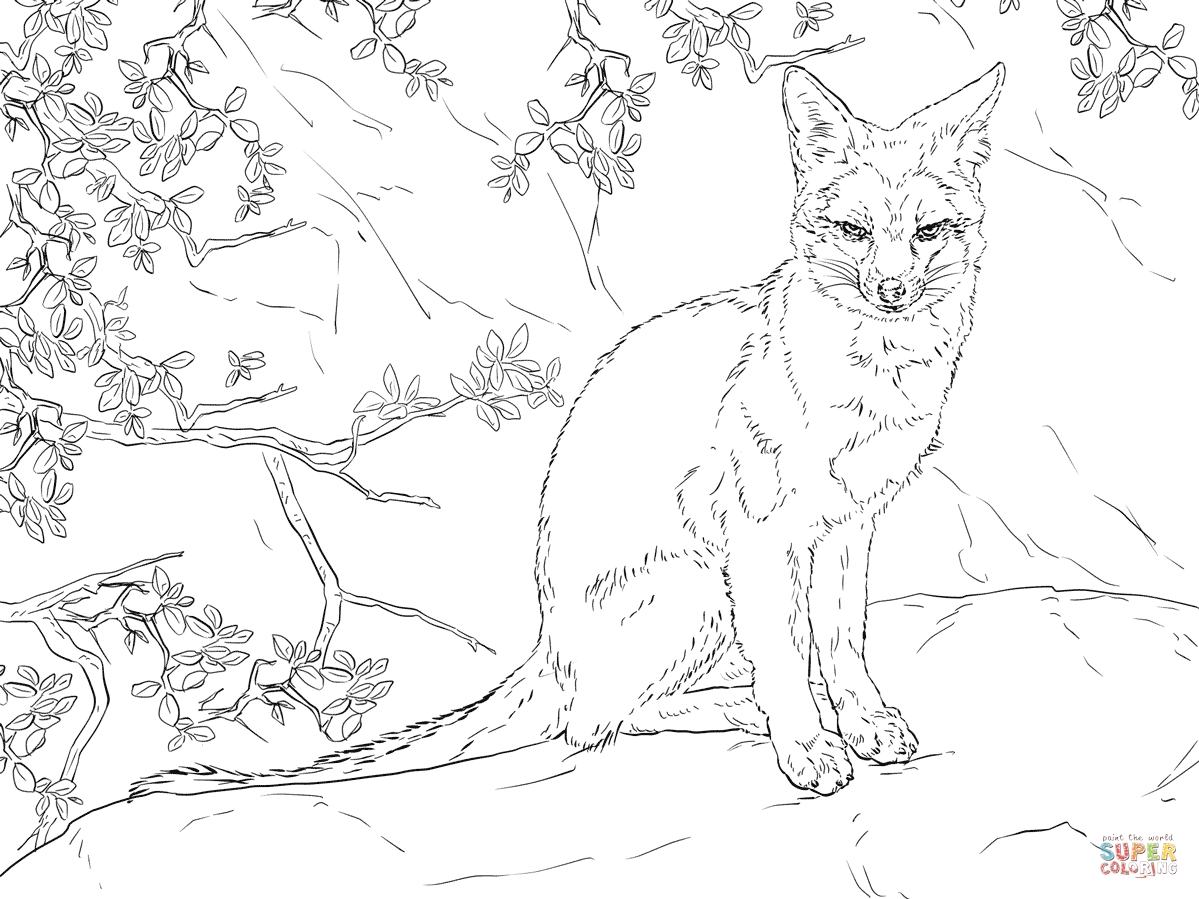 1199x899 Awesome Hard Realistic Fox Coloring Pages Design Free Adorable