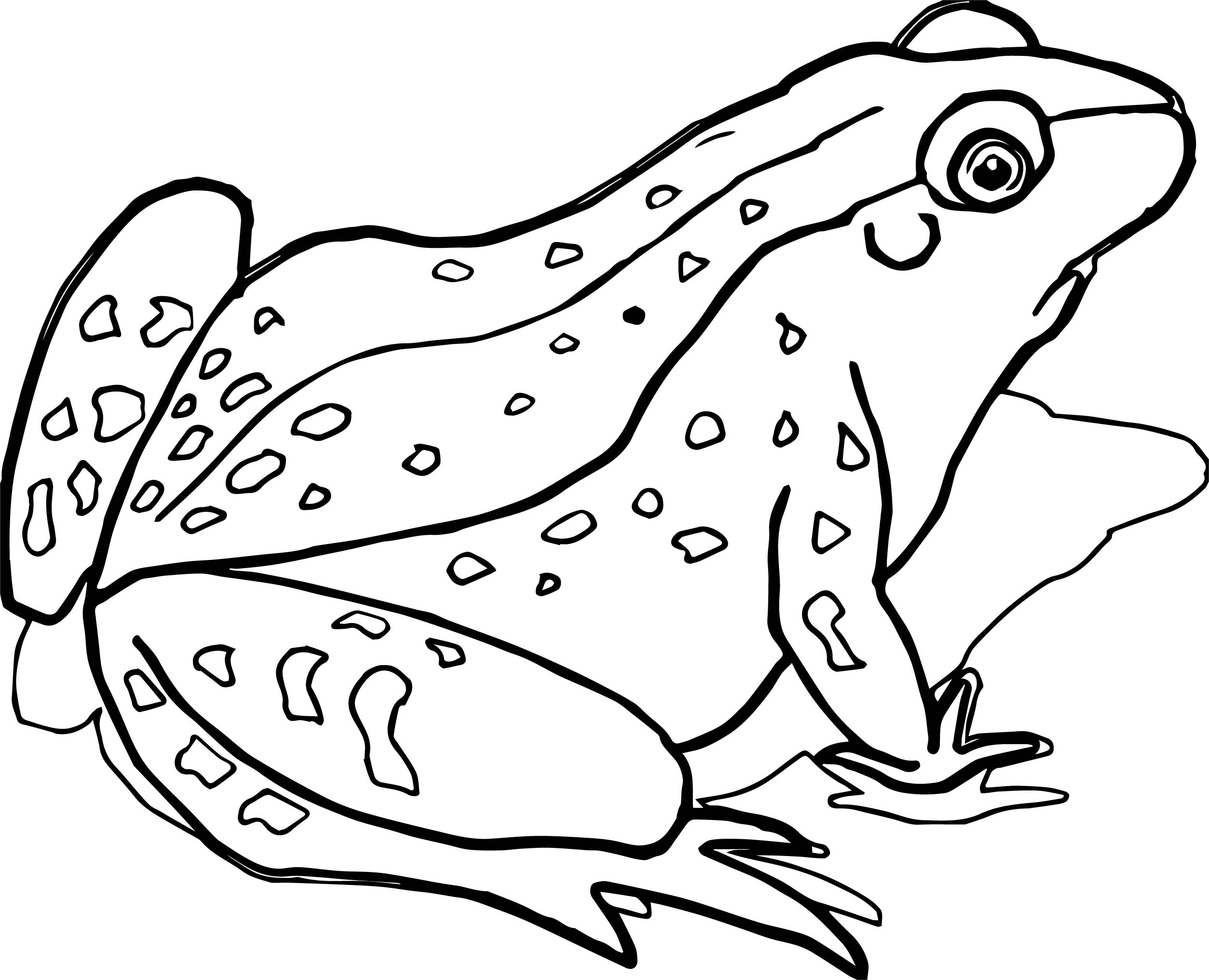 2507x2032 Frog Jumper Coloring Page