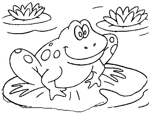 Realistic Frog Coloring Pages at GetDrawings | Free download