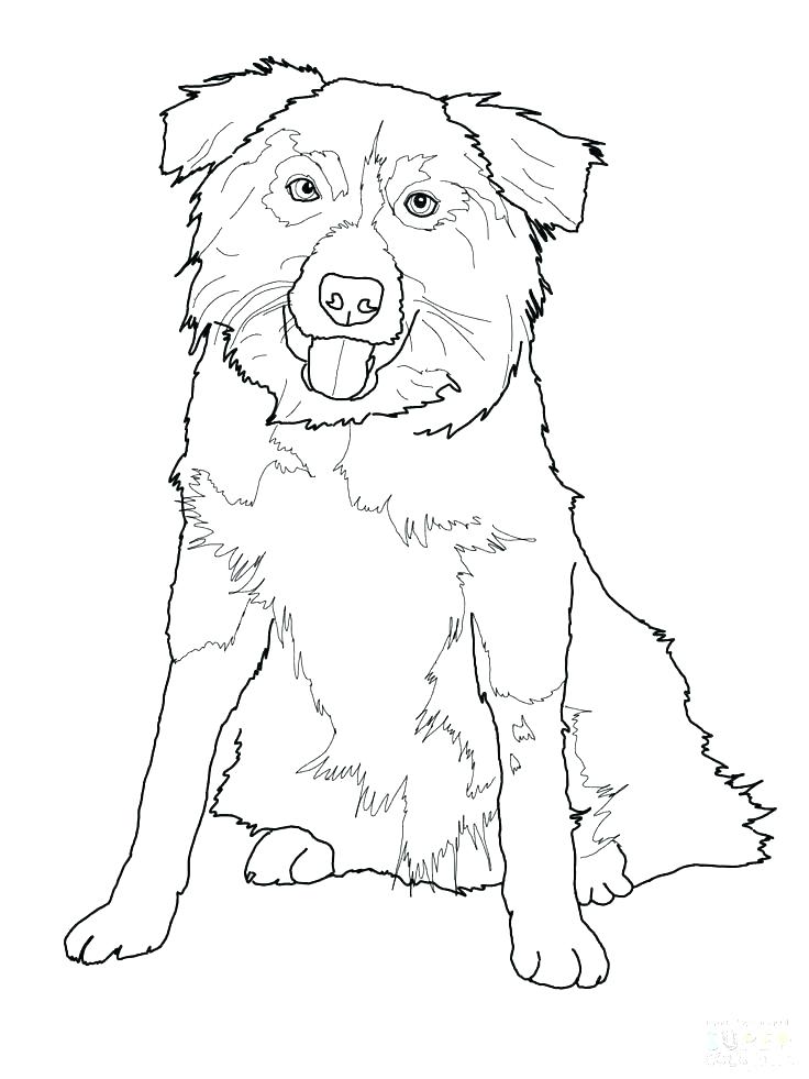 736x981 German Shepherd Coloring Pages Coloring Pages Shepherd Coloring