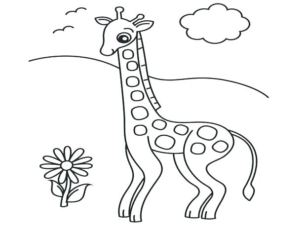 618x464 Giraffe Coloring Pages Giraffe Coloring Page Realistic Giraffe