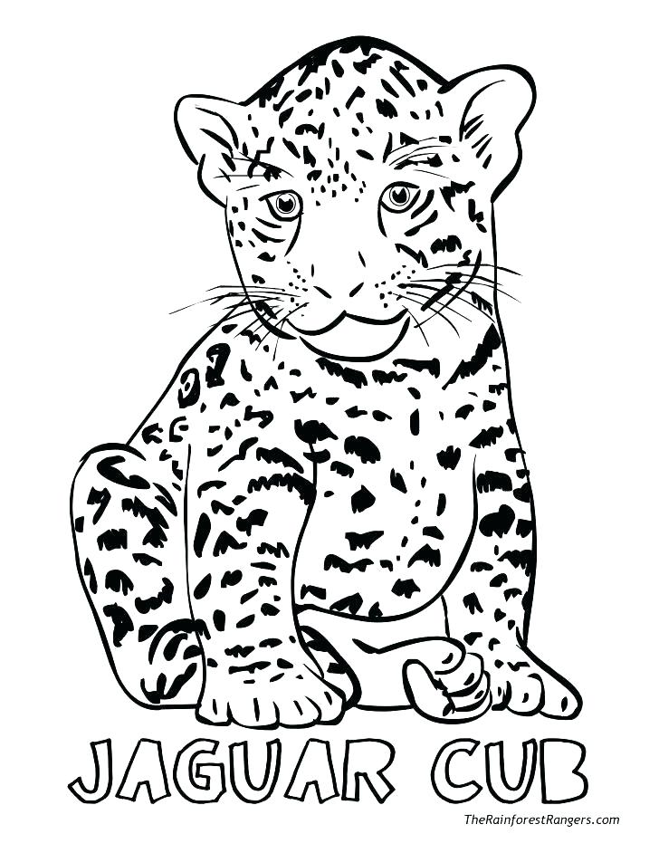 728x942 Realistic Animal Coloring Pages Woodland Animals Coloring Pages