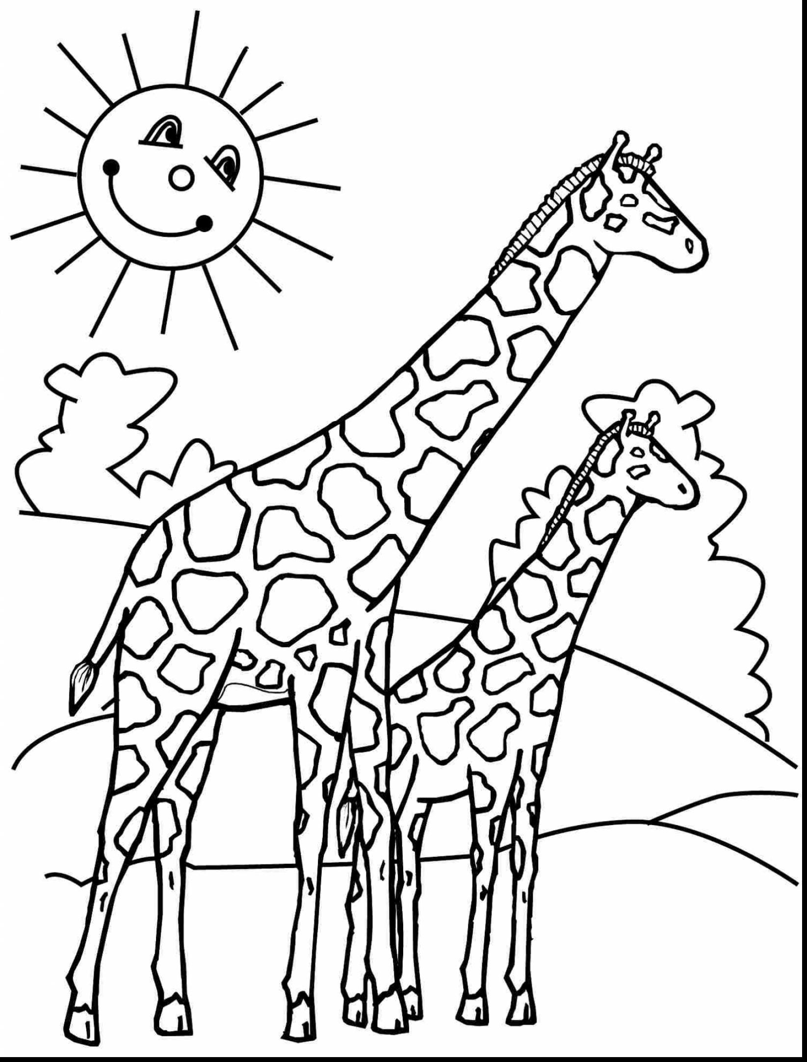 1645x2164 Useful Giraffe Coloring Sheets Baby Pages Real