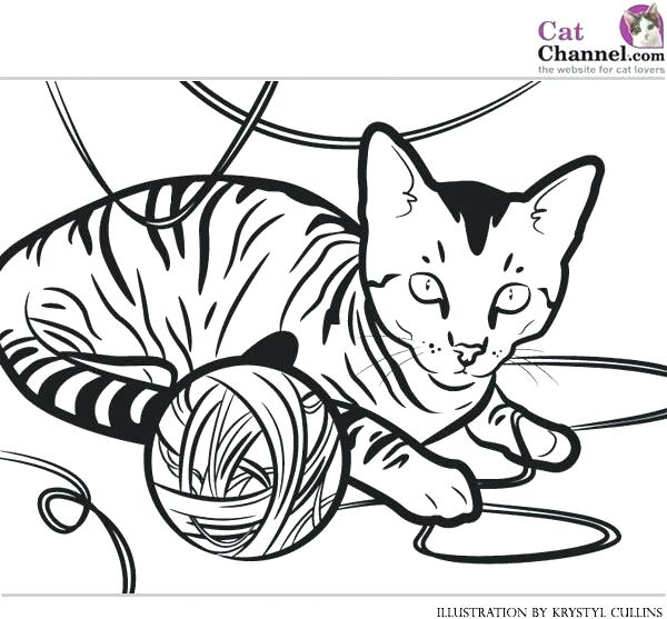 600x557 Cat Girl Anime Coloring Pages As Realistic Printable Cute