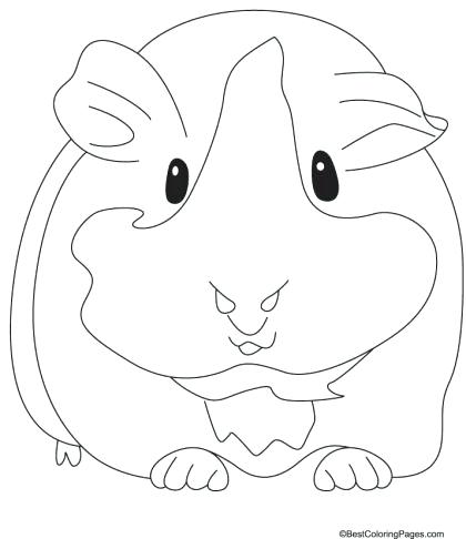 Realistic Guinea Pig Coloring Pages at GetDrawings | Free download