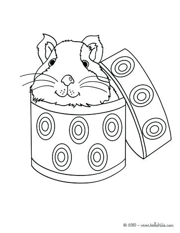 363x470 Guinea Pig Coloring Page Outstanding Guinea Pig Coloring Pages