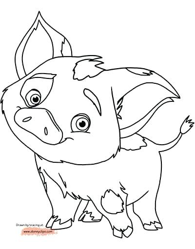 400x511 Pig Coloring Pages Coloring Pages Updated Realistic Guinea Pig